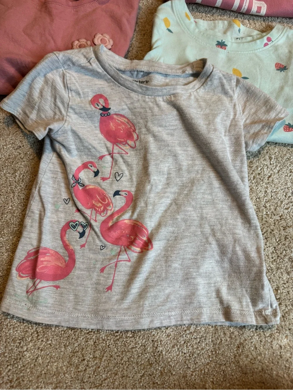 3T Girls Shirt Bundle -Carter’s & Cat & Jack